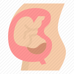 怀孕