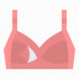<em>胸罩</em>