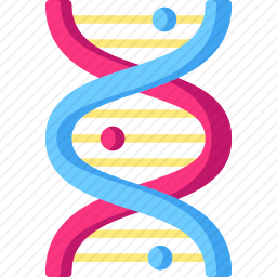 DNA