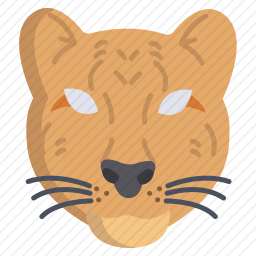 猎豹