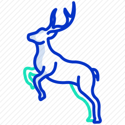 鹿