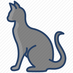 <em>猫</em>