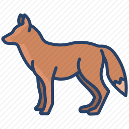 <em>狐狸</em>