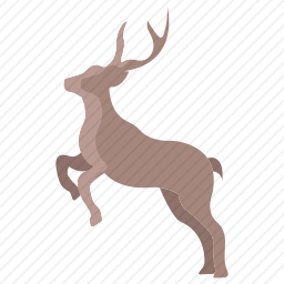 <em>鹿</em>