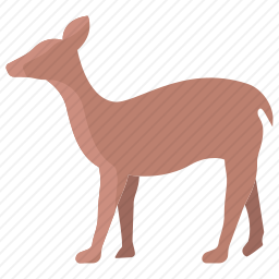 <em>鹿</em>