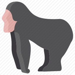 <em>大猩猩</em>