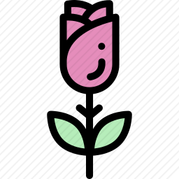 玫瑰