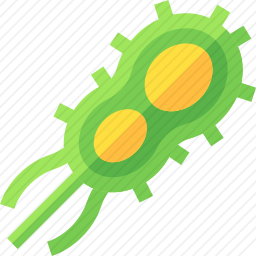 <em>细菌</em>