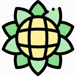 <em>向日葵</em>