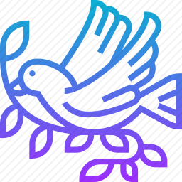 鸽子