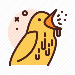 鸟