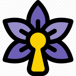 兰花