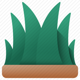 草