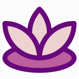莲花