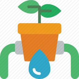 植物