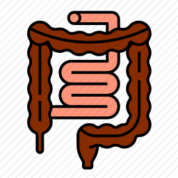 肠