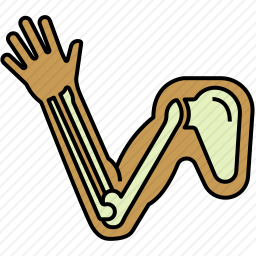 <em>手臂</em>