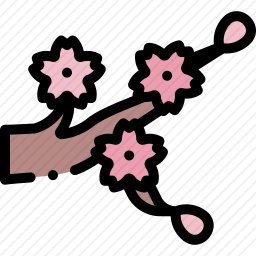 <em>樱花</em>