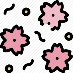<em>樱花</em>