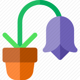 <em>风信子</em>