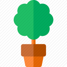 植物
