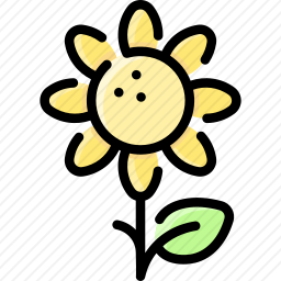 <em>向日葵</em>
