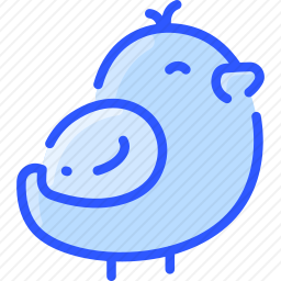小鸡