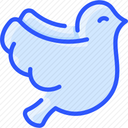 鸽子
