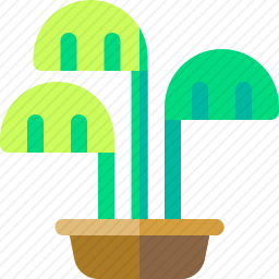 植物