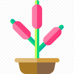 植物