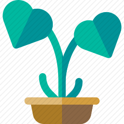 植物