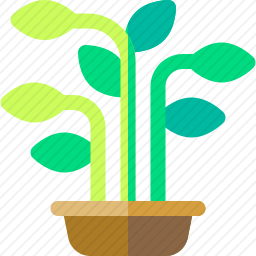 植物
