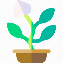 植物