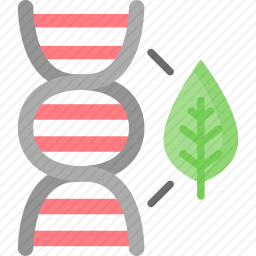 DNA
