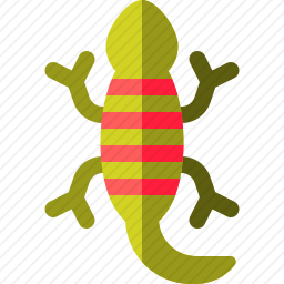 蝾螈