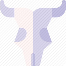 <em>公牛</em>
