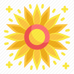 向日葵