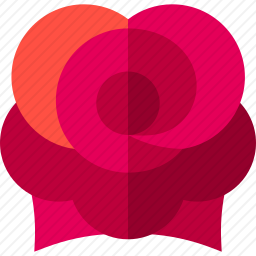 <em>玫瑰</em>