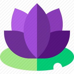 莲花
