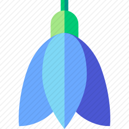 <em>风信子</em>