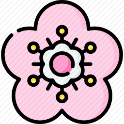 樱花