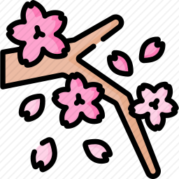 樱花