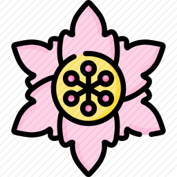 <em>樱花</em>