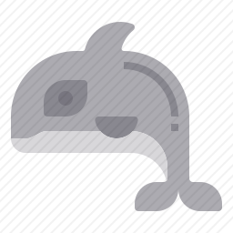 虎鲸
