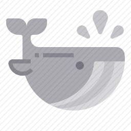 <em>鲸鱼</em>