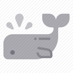 <em>鲸鱼</em>