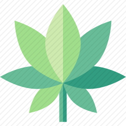 大麻