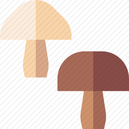 <em>蘑菇</em>