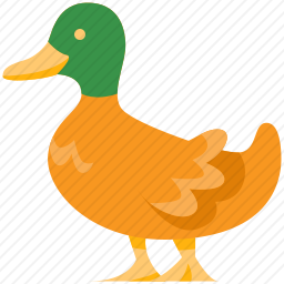鸭子