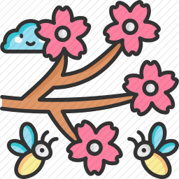 <em>樱花</em>